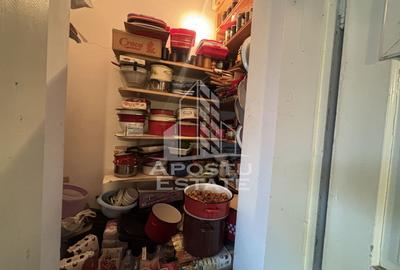 Casa 2 camere de vanzare Calea Sagului, Timisoara, curte comuna - 4