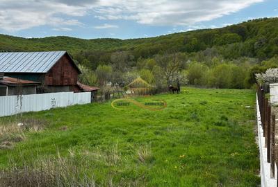 Teren intravilan de vanzare 2900 mp Luncani -Bacau - 3