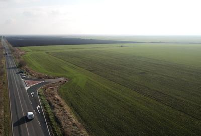TERENURI INDUSTRIALE/COMERCIALE BECICHERECU MIC - TIMISOARA - 1