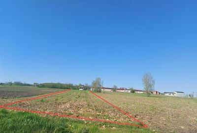 TEREN INTRAVILAN | 4300 MP | HIDISELUL DE SUS | BIHOR - 2