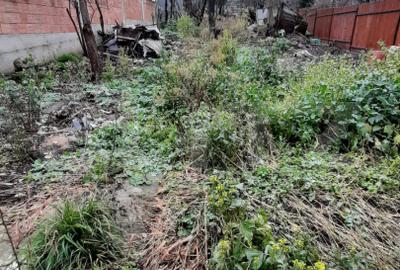 Casa zona excelentă 142 mp utili, teren 673 mp, Andrei Muresanu - 3