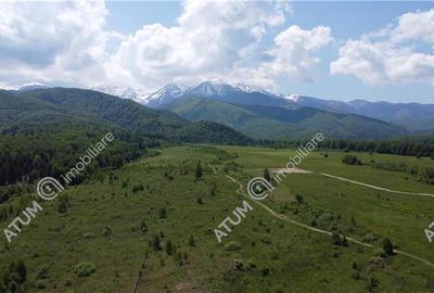 Teren intravilan de vanzare in Avrig zona Valea Avrigului - 3