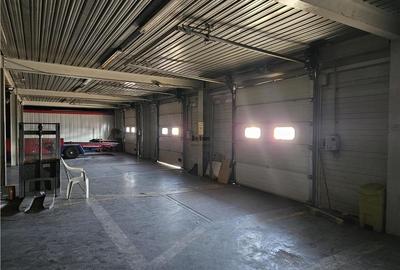 Spatiu Industrial - 4000 mp - Logistica - Depozitare - Distributie - 8