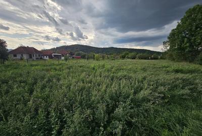 Casă cu 5 camere în Birtin