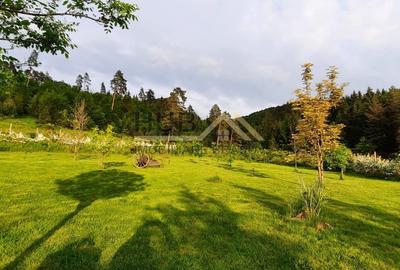 Teren cu PUZ - Tabara de Vacanta + Constructie Tiny Hous |  10 Cabane A-Frame - 1