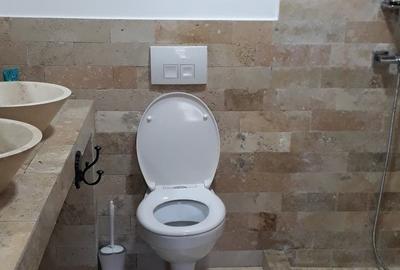 Casa la cheie mobilata si utilata la Stancesti - 13