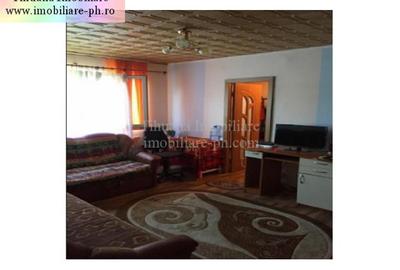 Apartament 2 camere de vanzare:Vest-(Al. Iezerului),etajul 3,(mobilat si utilat) - 2