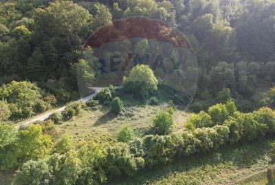 Teren Construcții intravilan de 5000 mp, în Măgureni