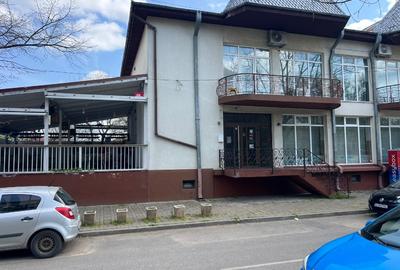 Vila versatila 656 mp, locatie excelenta - transform-o in afacerea sau casa ta - 2