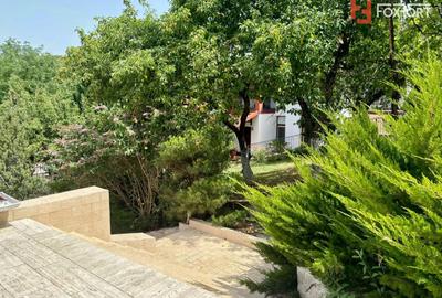 Casa individuala cu 5 camere si teren de 1 hectar - Ghioroc - Arad - 38