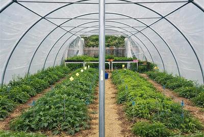 Transilvania Camping, domeniu de 14.400mp,Sanmarghita de Mures:2cladiri, apartam - 30