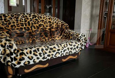 Casa individuala, 9,5 ari teren, zona Profi Sfantu Ilie - 1