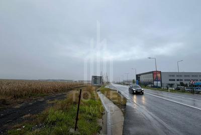Teren Intravilan | Zona Industriala Vest | 20.663 mp - 11
