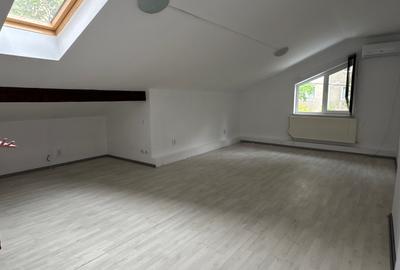 Vilă S+P+E+M cu 10 camere pentru birouri/clinica/gradinita/cresa - 9