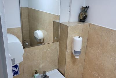Proiect Logistic - depozite / productie / birouri - VANZARE - 7