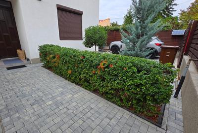 Damaroaia Bucureștii Noi - 5