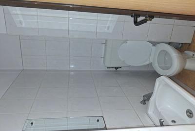 Stefan cel mare - imobil P+1+M - 26