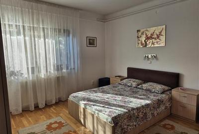 2 apartamente in vila, Turda - Ion Mihalache - 18