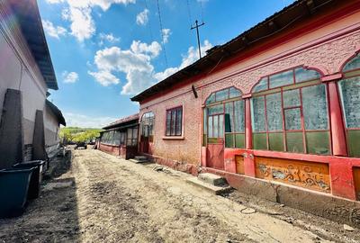 Vând casă în comuna Izvoarele județul Teleorman - 1