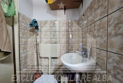 Spatiu comercial | De vanzare | 48 mp | Cetate - 6