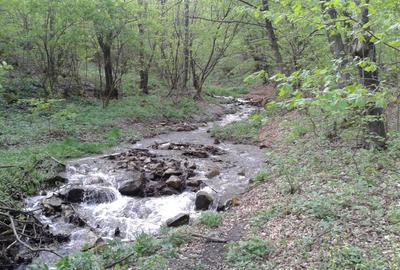 Proprietate rară în inima Retezatului – 5.700 mp teren intravilan - 9