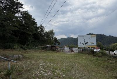 Teren de vânzare – 13.500 mp | DN7 – Valea Oltului | Brezoi - 4