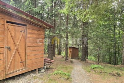 De vânzare casă de vacanță deosebită | Călățele Pădure – Dealul Negru, Cluj - 7
