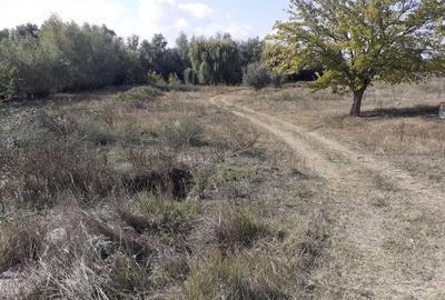 OCAZIE:Teren intravilan Tulcea-19euro/m.p. - 6