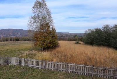 Comision 0%, teren extravilan 12497 mp Sinca Noua - 1