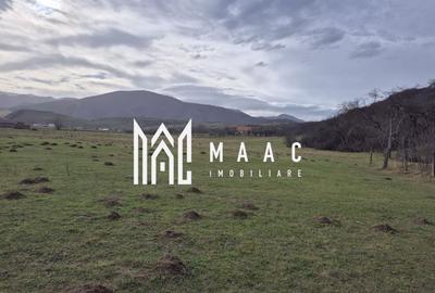 Teren agricol extravilan de 2800 mp, în Orlat