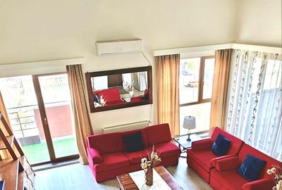 Inchiriere Penthouse Otopeni - 1