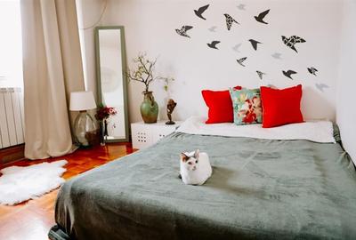 De vanzare Apartament 2 camere, ,semifinisat premium, Targu Mures - 5