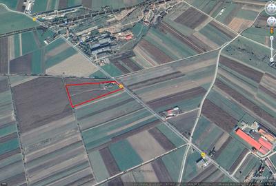 Domeniu de vânzare: 34.530 mp,Casă tip conac,Anexe istorice,perioada interbelică - 10
