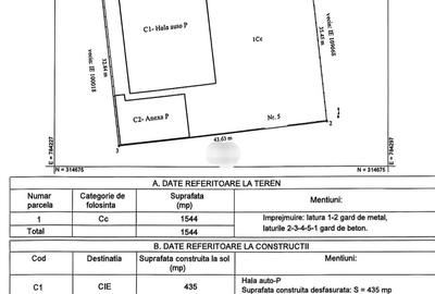 Ovidiu_Celsy_hala+birouri,pret 390.000E+TVA - 1