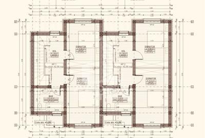 Casa individuala cu 5 camere,teren de 480mp,la rosu,Peciu Nou - 16