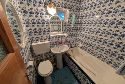 Vanzare casa de vacanta Breaza Prahova - 22