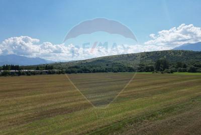 Teren intravilan de vânzare 1180 mp – Zărnești - 10