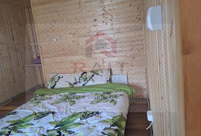 Casa Vacanta Rucar Saticu de Jos Arges - 23