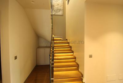 Iancu Nicolae-British School duplex  - 3 dormitoare - 12