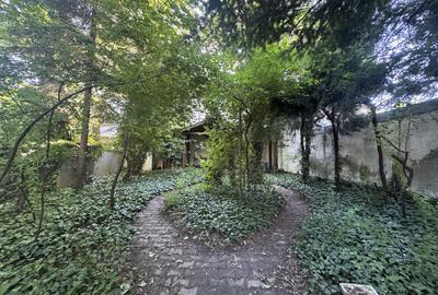 Proprietate unica la Grădina Icoanei - 18