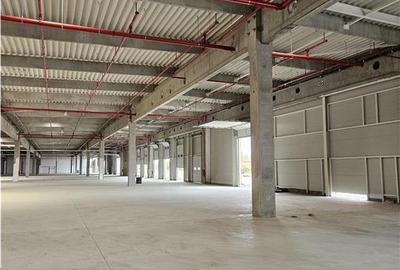 Spatiu Industrial - 4000 mp - Logistica - Productie - Depozitare - Distributie - 10