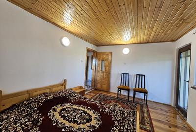 Vila superba de vanzare in Vintila Voda, Buzau D+P+1 si anexe - 33