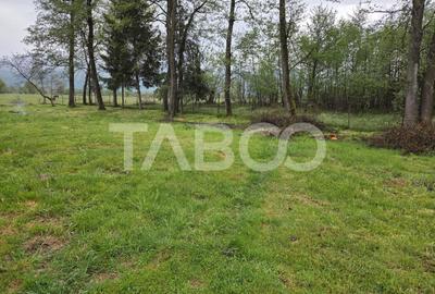 Teren intravilan de vanzare 1360 mp la poalele muntilor Fagaras - 4