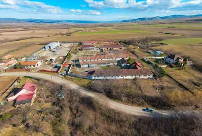 De vânzare spațiu industrial în Loc. Tileagd–Tilecuș - 10