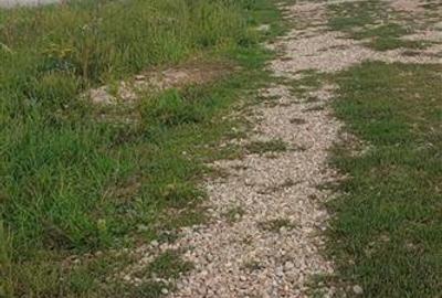 RECO Teren intravilan Sanmartin - 7