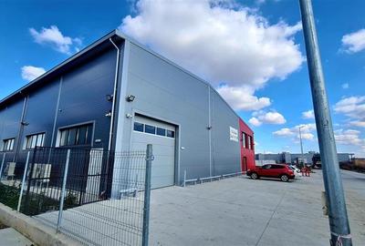 Spațiu industrial, 900 mp în Lugojului