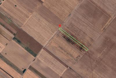 Teren Extravilan In Rate Primaverii Com. Berceni | 4819mp | #EG50 - 1