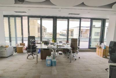 0% comision! Inchiriere birouri Dacia, 250 mp - 8