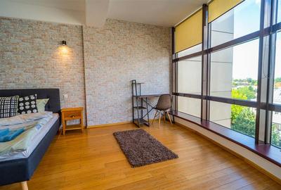 Apartament 2 camere, inchiriere lunga durata, Herastrau - 13
