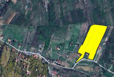 Teren Intravilan Plaiului – Oportunitate Investițională Excepțională - 2